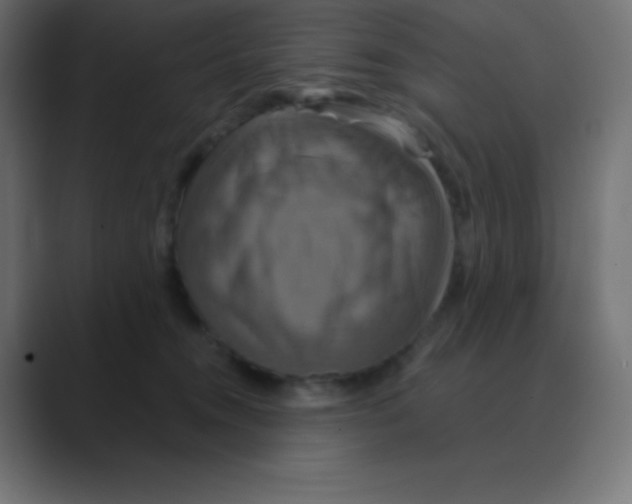 X0000088470372200706191352