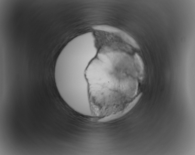 X0000088470373200706191352