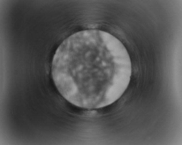 X0000088470374200706191352
