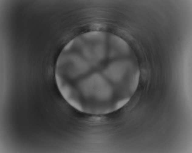 X0000088470375200706191352