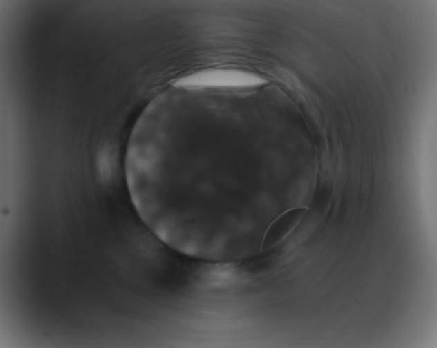 X0000088470377200706191352