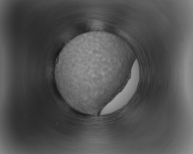 X0000088470379200706191352