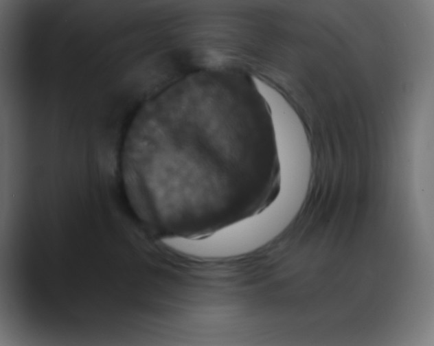 X0000088470380200706191352