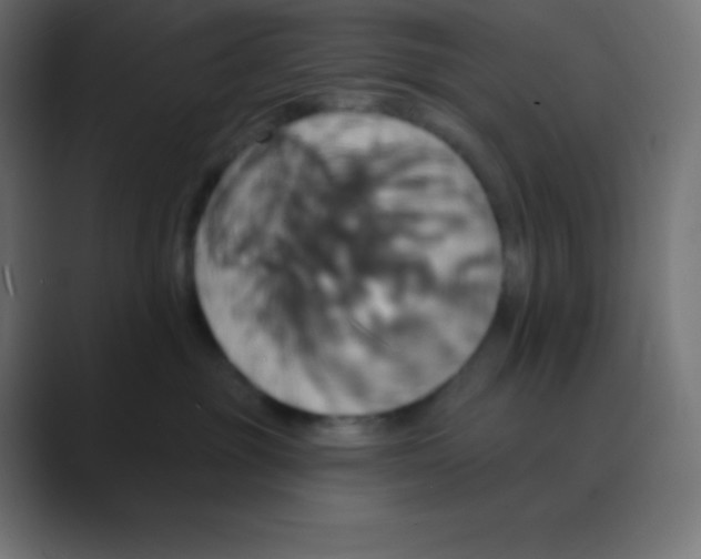 X0000088470381200706191352