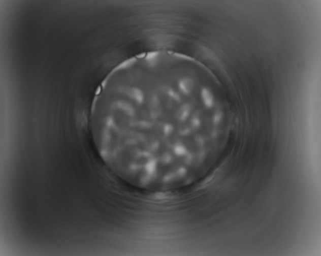 X0000088470382200706191352
