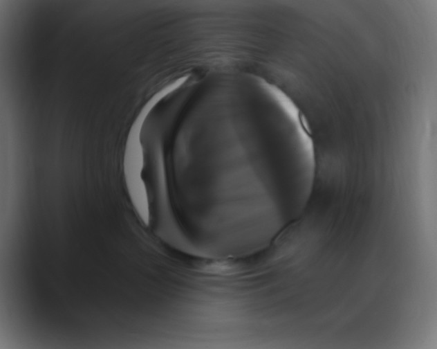 X0000088470383200706191352