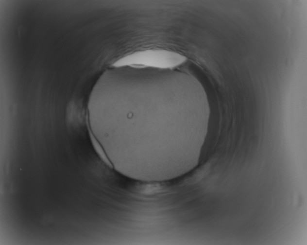 X0000088470384200706191352