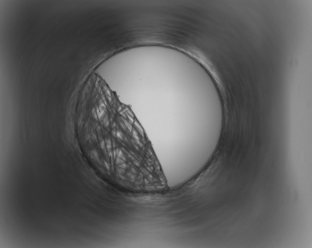 X0000088470385200706191352