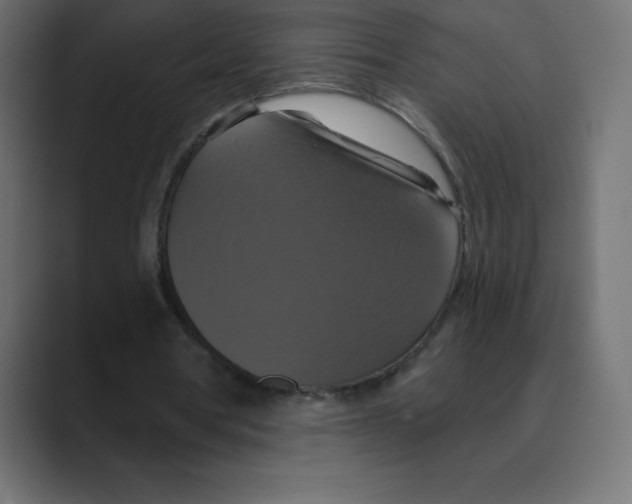 X0000088470386200706191352