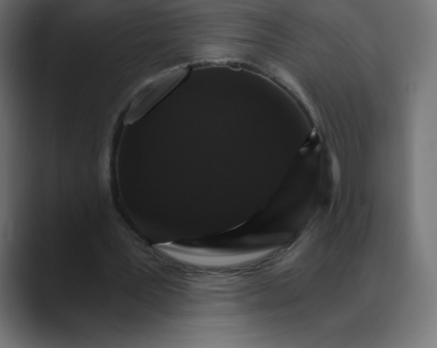 X0000088470387200706191352
