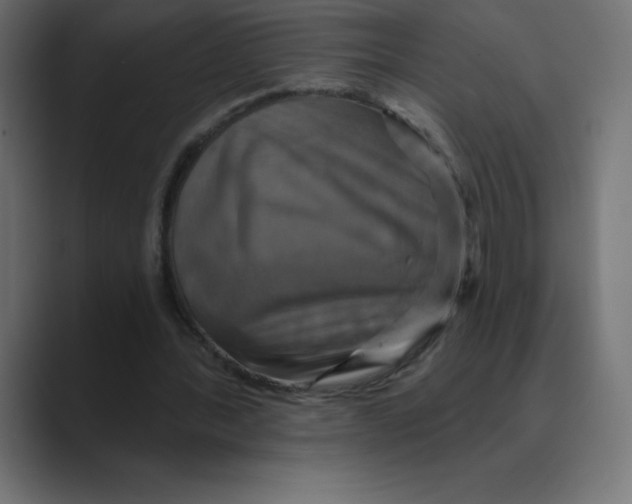 X0000088470388200706191352