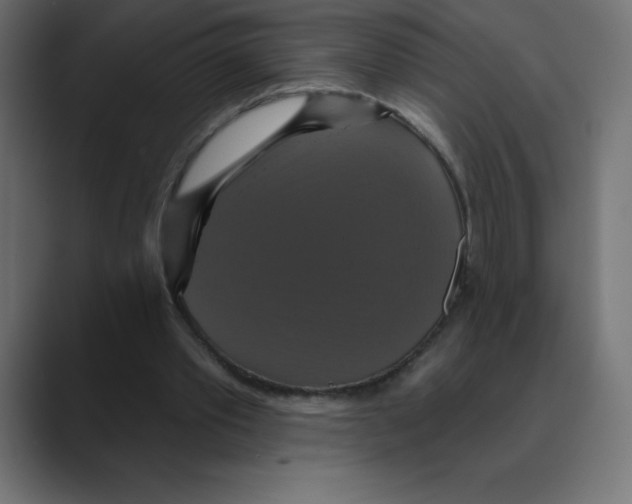 X0000088470389200706191352