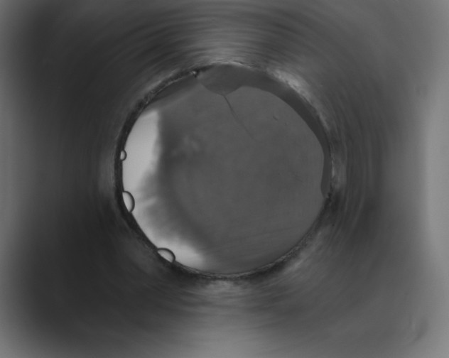 X0000088470390200706191352