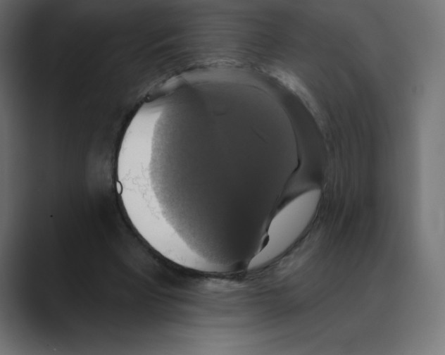 X0000088470393200706191352