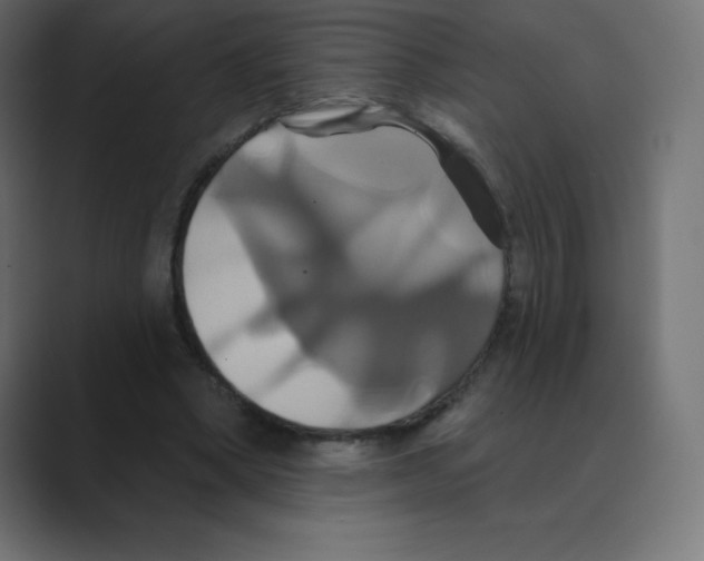 X0000088470394200706191352