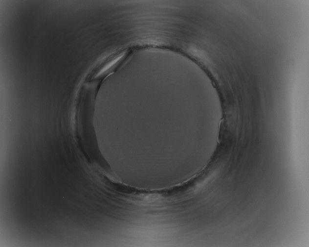X0000088470395200706191352