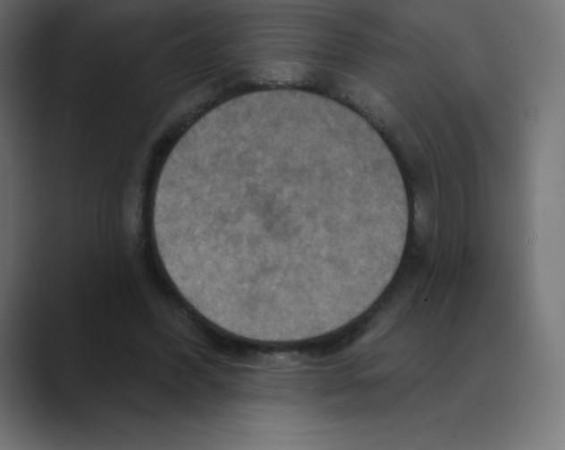 X0000088470396200706191352