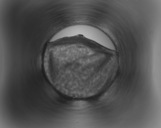 X0000088470397200706191352