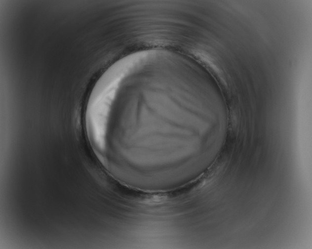 X0000088470398200706191352