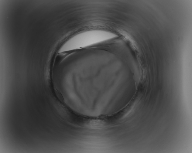 X0000088470399200706191352