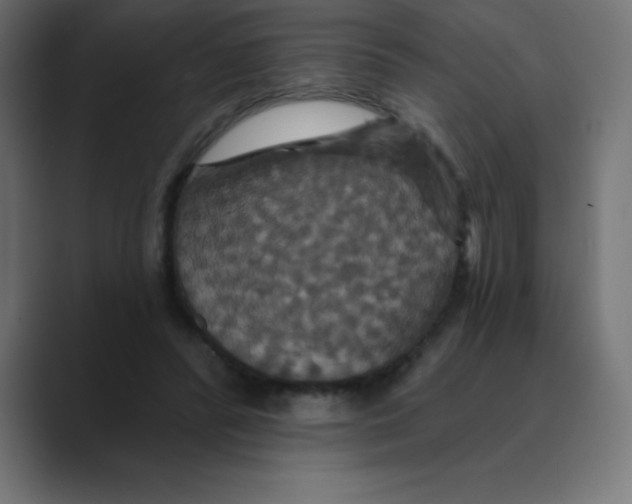 X0000088470400200706191352