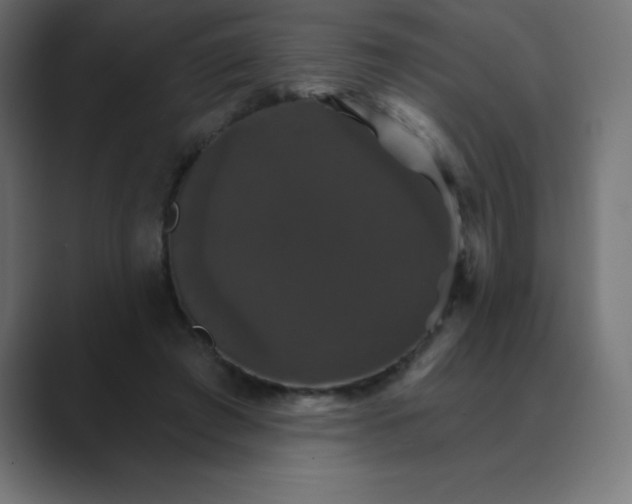 X0000088470401200706191351