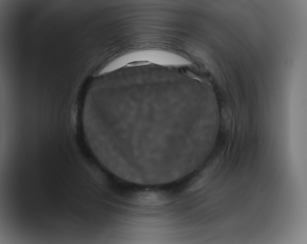 X0000088470404200706191351