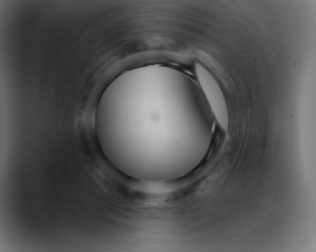 X0000088470405200706191351