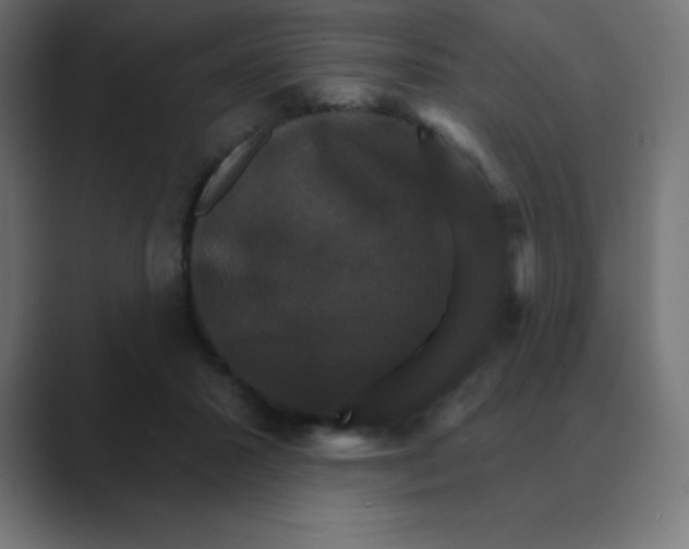 X0000088470407200706191351