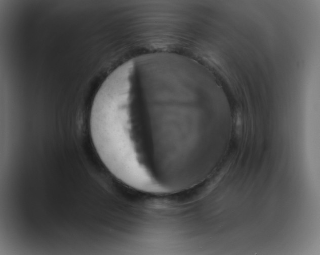 X0000088470408200706191351