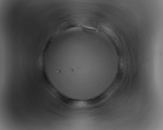 X0000088470409200706191351