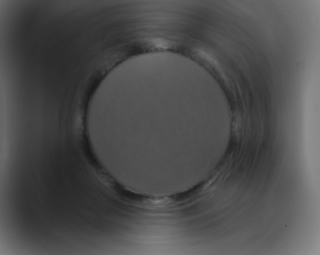 X0000088470410200706191351
