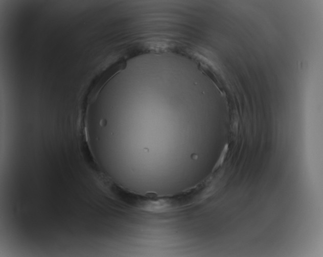 X0000088470411200706191351