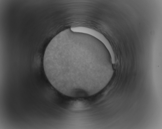 X0000088470412200706191351