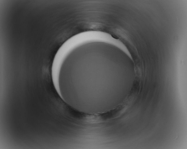 X0000088470415200706191351