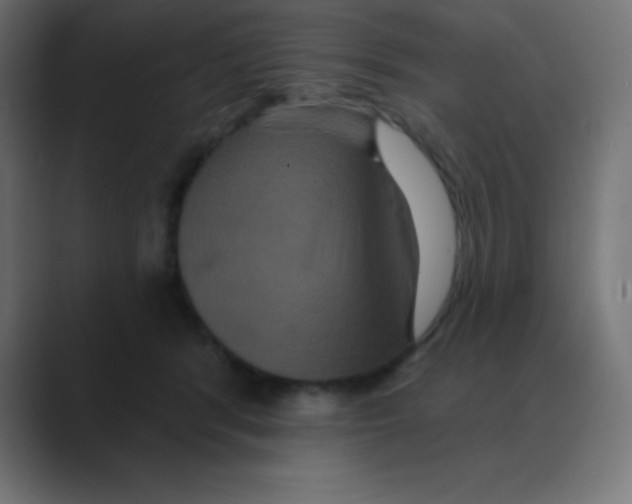 X0000088470416200706191351