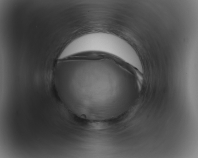 X0000088470417200706191351
