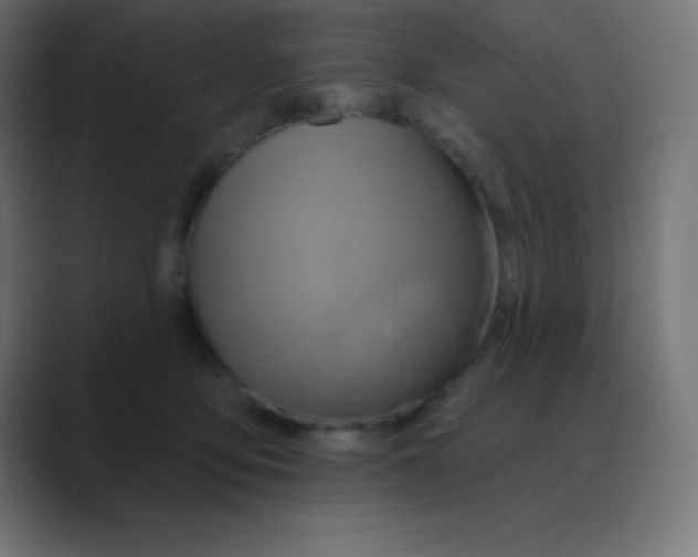 X0000088470419200706191351