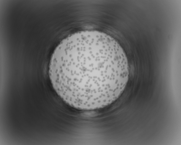 X0000088470422200706191351