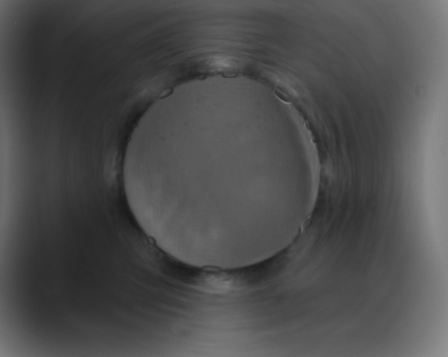 X0000088470423200706191351