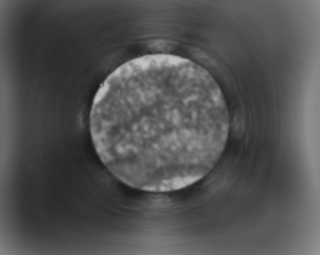 X0000088470424200706191351