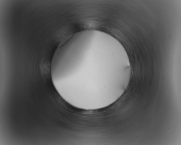 X0000088470425200706191351