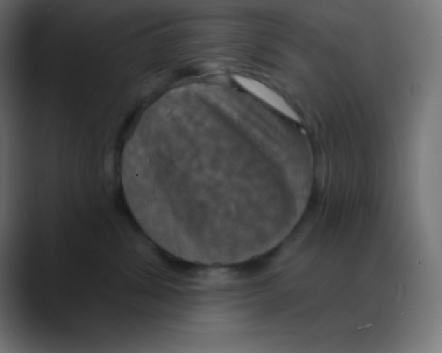 X0000088470428200706191351