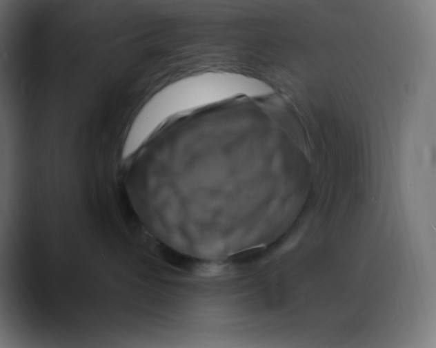 X0000088470432200706191351