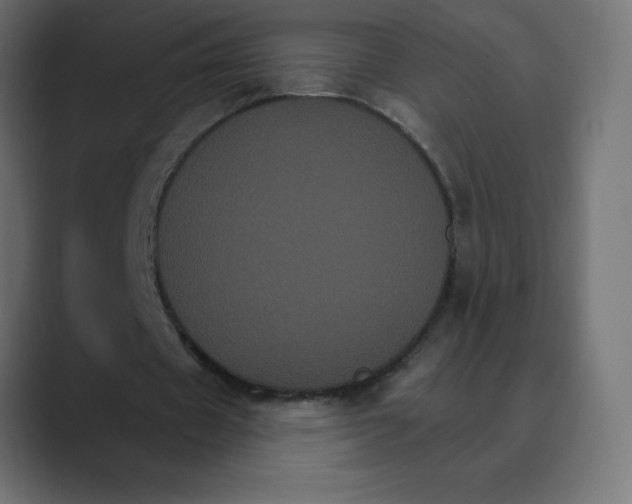 X0000088470433200706191351