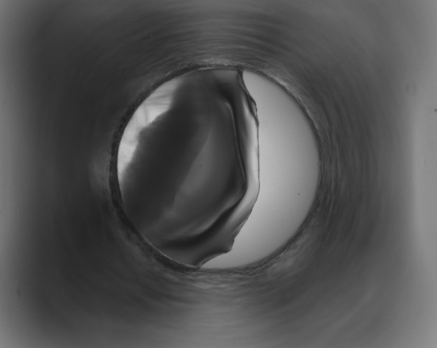 X0000088470434200706191351