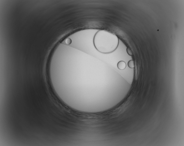 X0000088470435200706191351