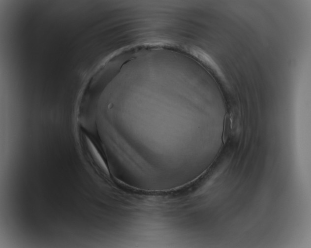 X0000088470436200706191351