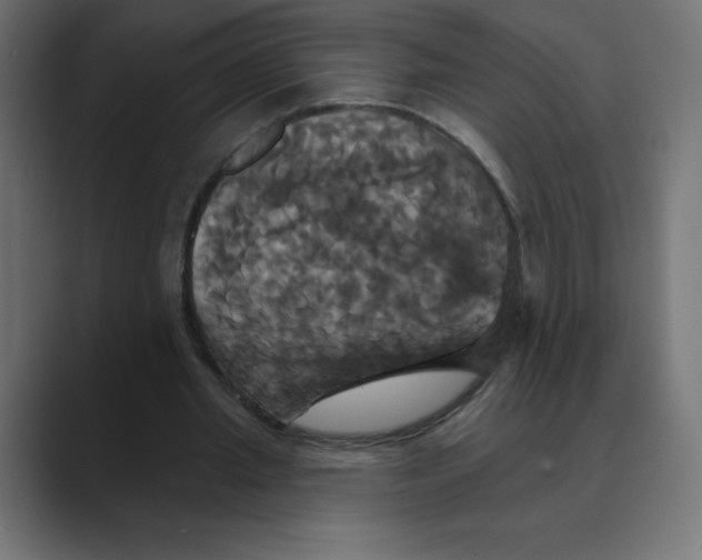 X0000088470437200706191351