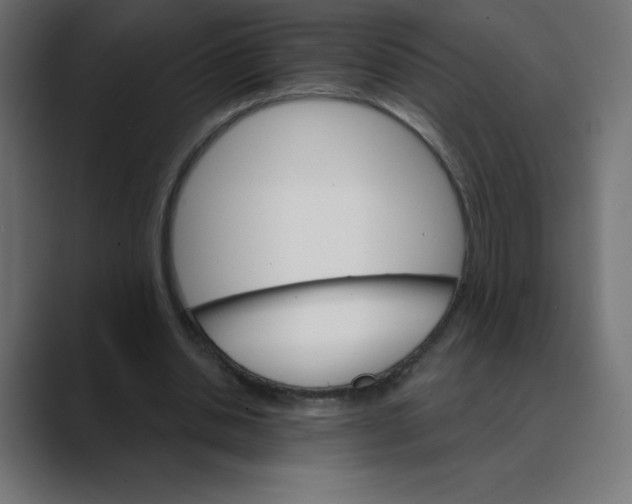 X0000088470438200706191351
